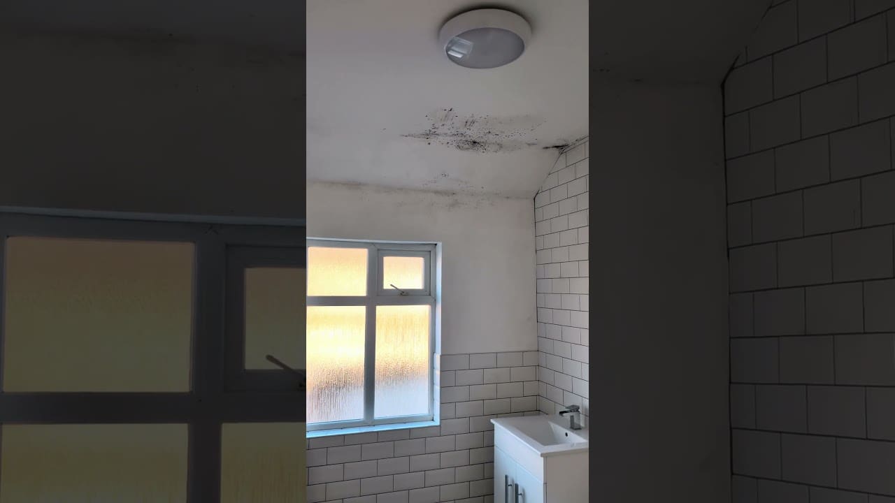 youtube placeholder image