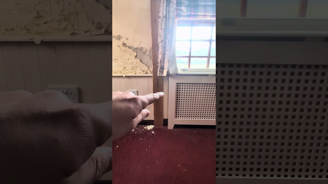 youtube placeholder image